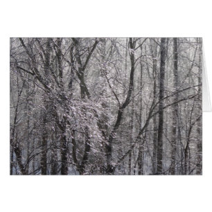 Cartão Floresta de Icy Ghear na Luz da Manhã II