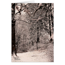 Cartão Floresta de inverno (5.0)