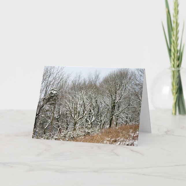 Cartão Floresta de Macclesfield de inverno (Frente)