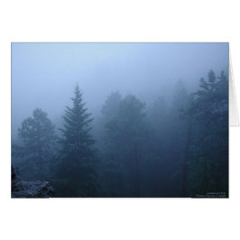 Cartão Floresta de outubro