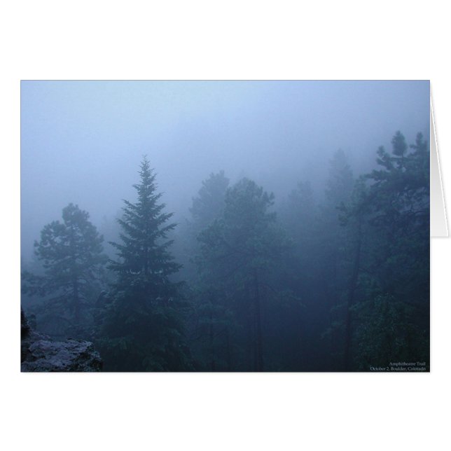 Cartão Floresta de outubro (Frente Horizontal)