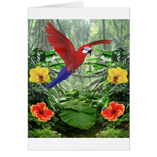 Cartão Floresta húmida tropical (Frente)