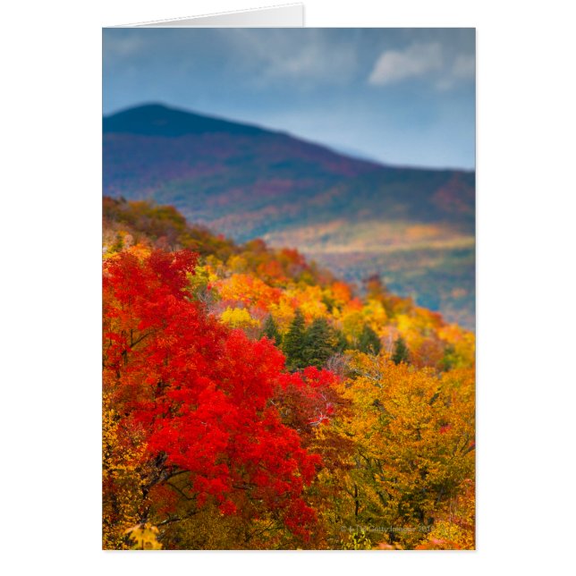 Cartão Floresta Nacional das Montanhas Brancas (Frente)