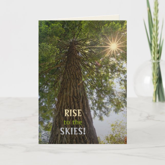 Cartão Floresta Pacífica Com Foto Da Natureza Com Luz Dou (Frente)