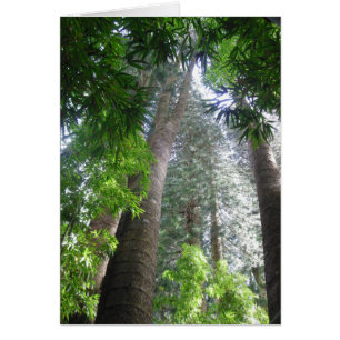Cartão Floresta tropical havaiana