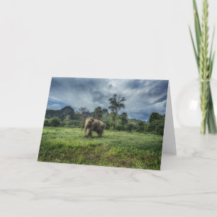 Cartão Florestas   Parque Nacional de Kao Sok