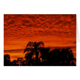 Cartão Flórida Sunset