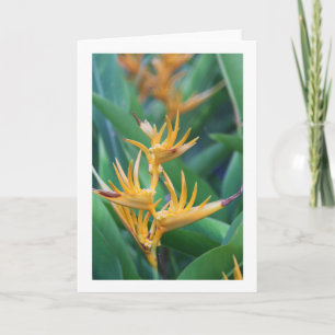 Cartão Flower (Bird of Paradise) Blank Card
