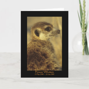 Cartão Flower - Legends Card