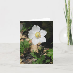 Cartão Flower Notecards