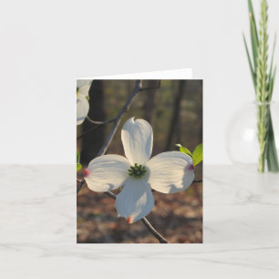 Cartão Flowering Dogwood