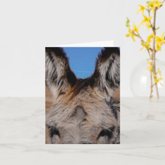 Cartão Fluffy Burro - Thank You Card