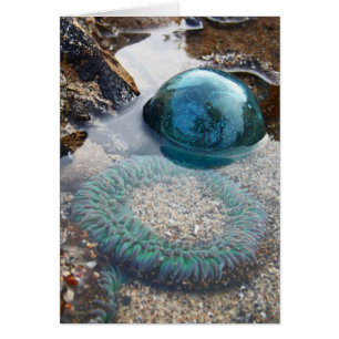 Cartão Flutuador e anêmona de vidro
