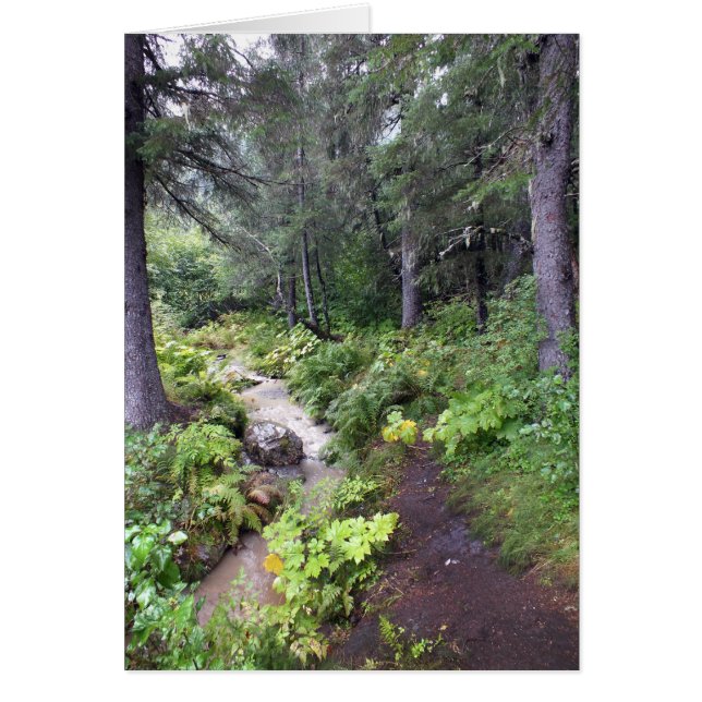 Cartão Fluxo do Alasca (Frente)