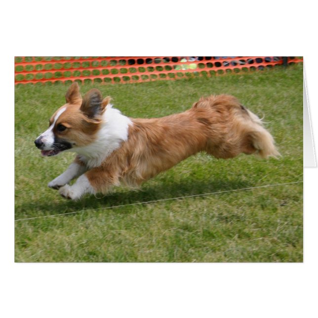 Cartão Flying Cardigan Welsh Corgi (Frente Horizontal)