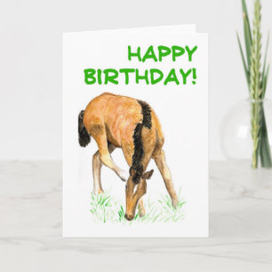 Cartão 'Foal' Birthday Card