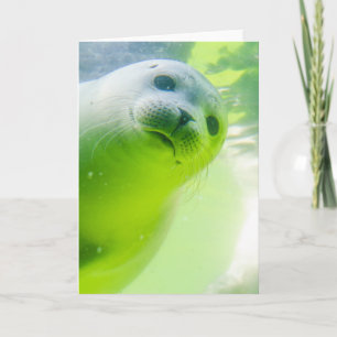 Cartão Foca Amigável e Fofa Submersa