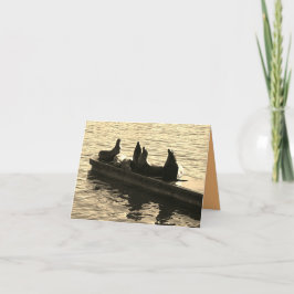 Cartão Focas junto ao Mar