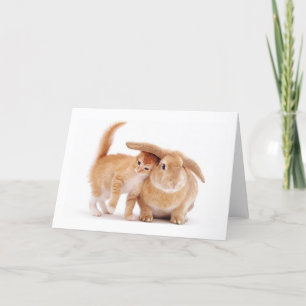 Cartão fofo_engraçado_animais_8 coelhos coelhos coelhos d