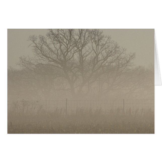 Cartão Foggy Tree (Frente Horizontal)