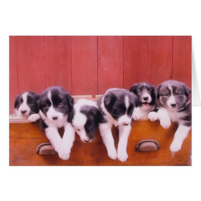 Cartão Foguete de Coca-Collie, Cuja Fronteira Corta (Frente horizontal)