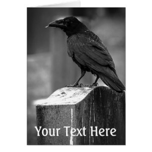 Cartão Foi Encontrado Um Tempo