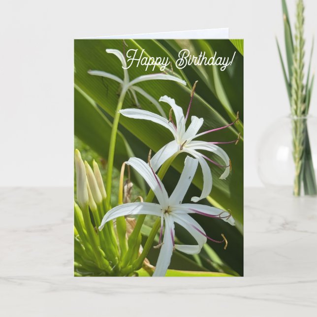 Cartão Folded Greeting Card (Frente)