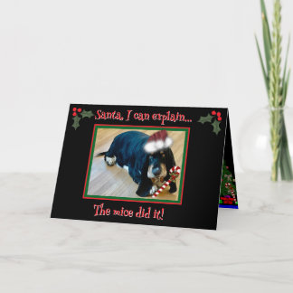 Cartão Folded Greeting Card