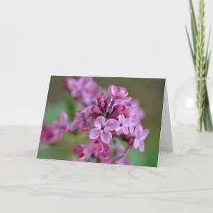 Cartão Folded Greeting Card with lilac flower photograph