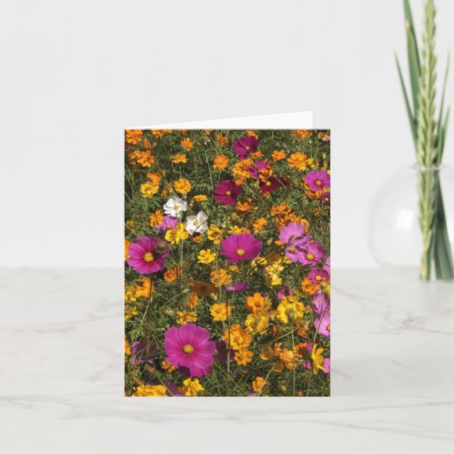 Cartão Folded greeting card with photo of flowers (Frente)