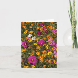 Cartão Folded greeting card with photo of flowers