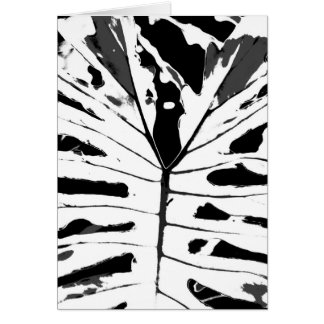 Cartão Folha de Monstereo