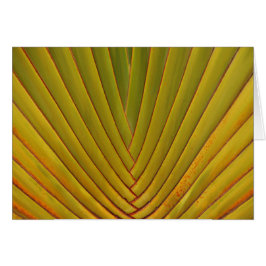 Cartão Folha de Palm