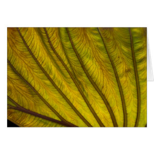 Cartão Folha grande