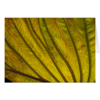 Cartão Folha grande