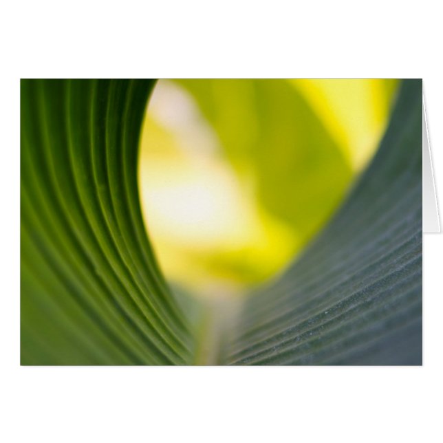 Cartão Folha verde (Frente Horizontal)