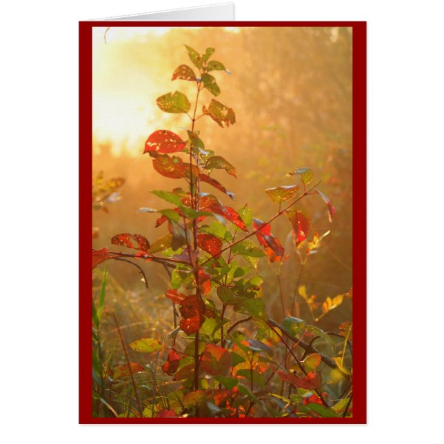 Cartão folha vermelha (Frente)