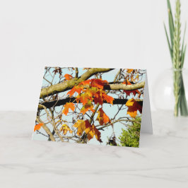 Cartão Folhas Bonitas de Outono Bênçãos de Outono