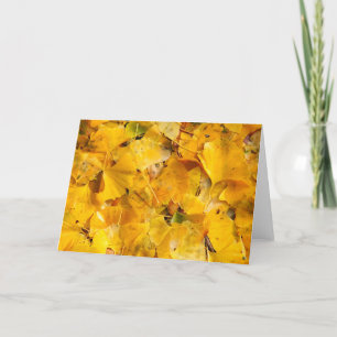 Cartão Folhas de Biloba da nogueira-do-Japão