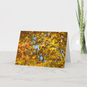 Cartão Folhas de Bordo Amarelo e Céu Azul