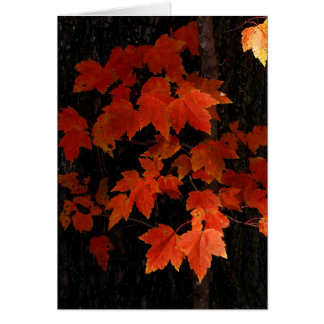 Cartão Folhas de bordo de William O'Brien