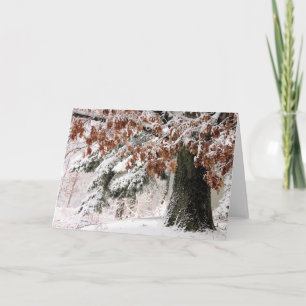 Cartão Folhas de carvalho de neve 