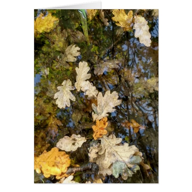 Cartão Folhas de Dublin (Frente)