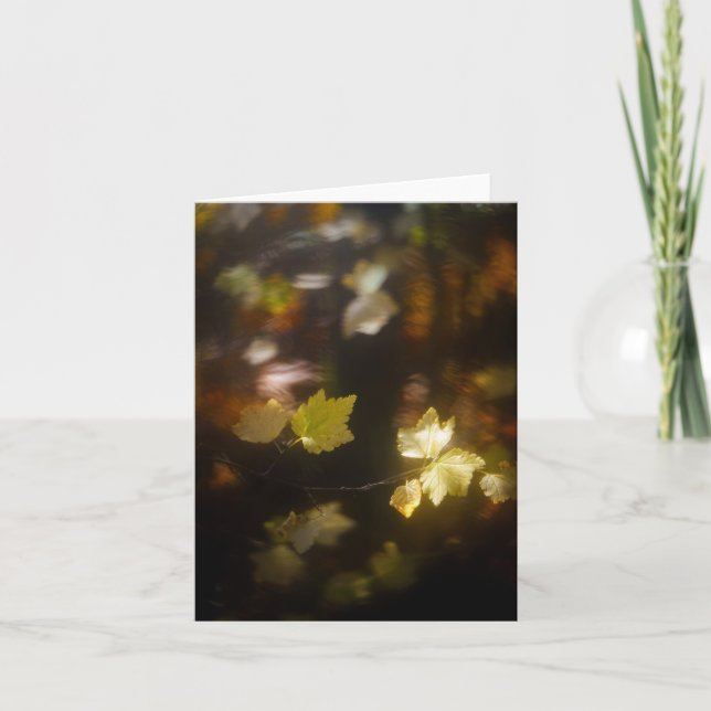 Cartão Folhas de Luz de Outono Suave Foto (Frente)