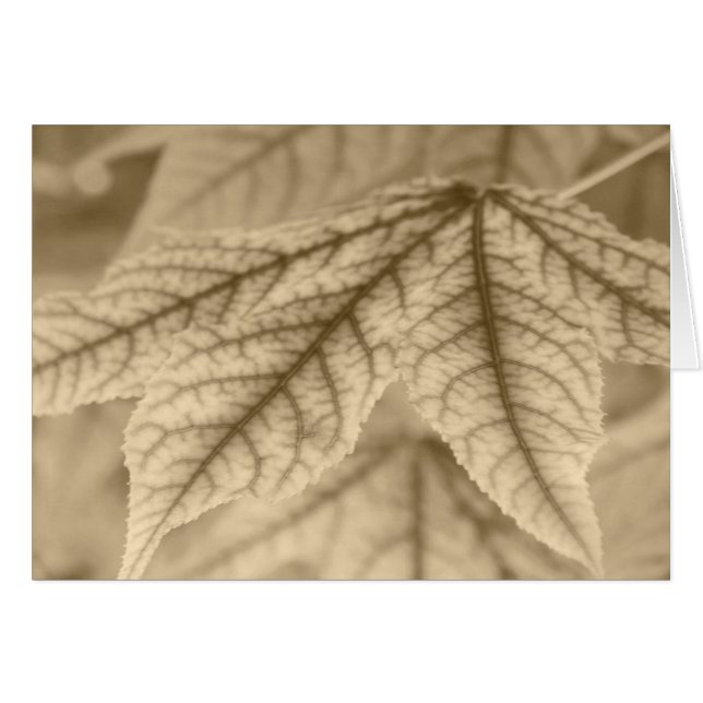 Cartão Folhas de Maple (Frente Horizontal)