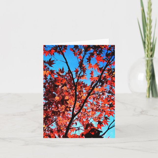 Cartão Folhas de outono (Frente)