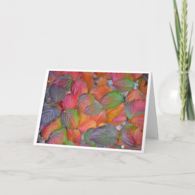 Cartão Folhas de outono (Frente)