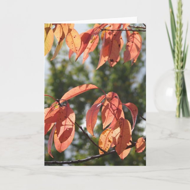 Cartão Folhas de outono (Frente)