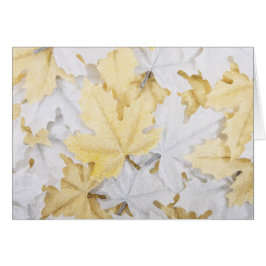 Cartão Folhas de outono