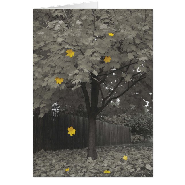 Cartão Folhas de outono (Frente)